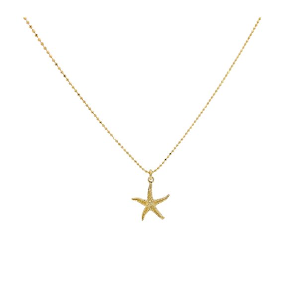 Starfish srebrna ogrlica