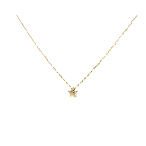 Zlatna ogrlica Dainty Star