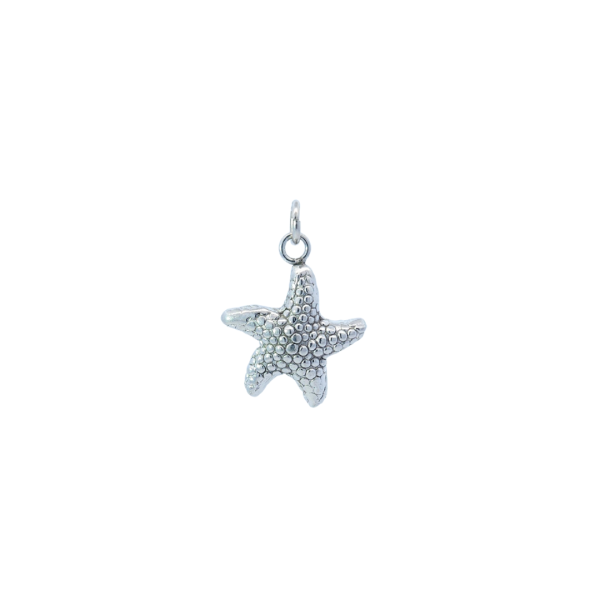 Sea star O srebrni privjesak